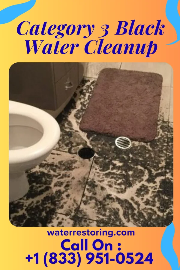 Category 3 Black Water Cleanup in Fayetteville, TX