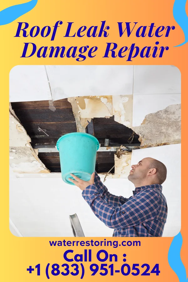 Roof Leak Water Damage Repair in Fayetteville, TX